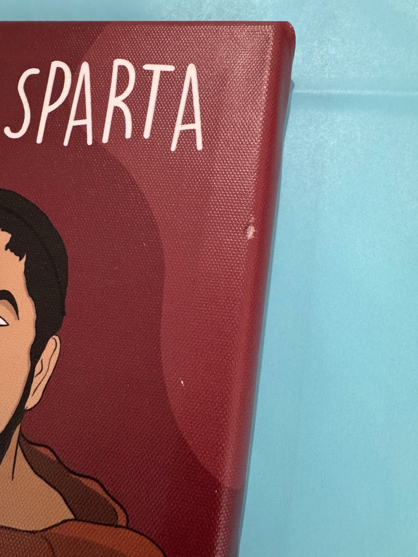 Vinted - Puru Sparta 20x20